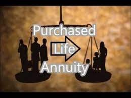 Purchased Life Annuity: Rates, Quotes & Definition - Business Yield